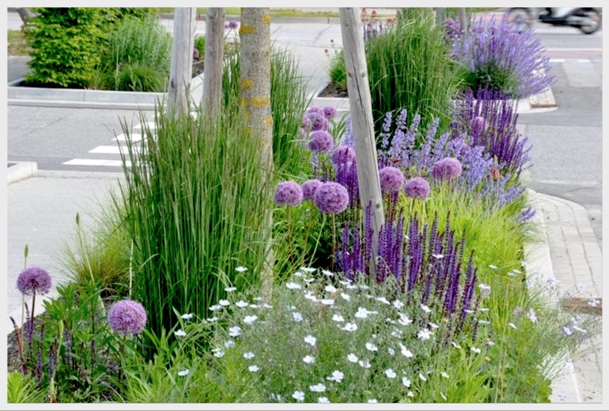 straat planten plantsoen